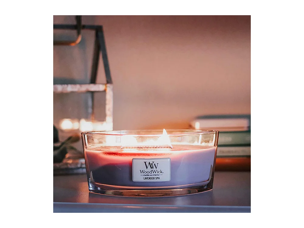 Bougie Ellipse lavande relaxante