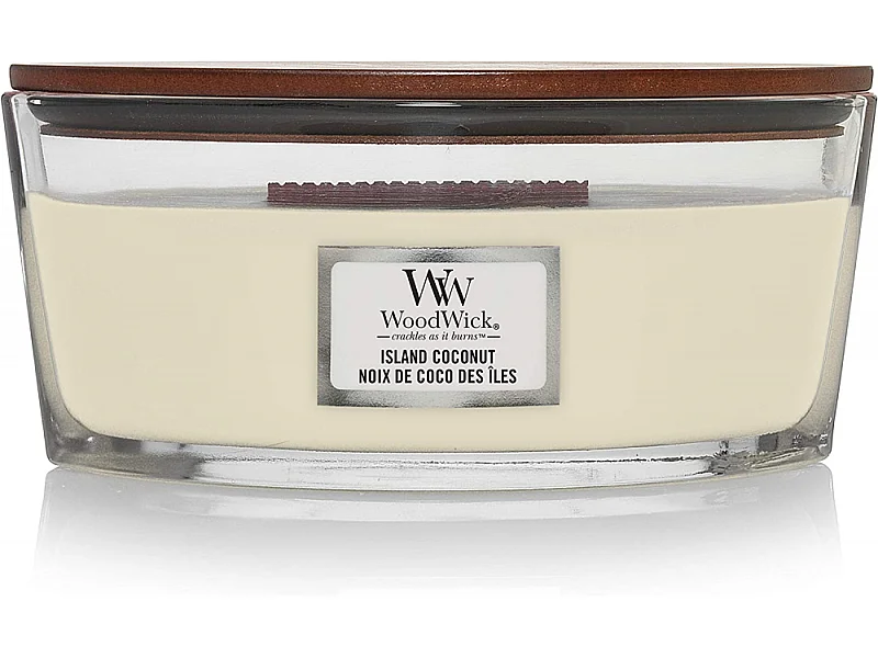 Bougie Ellipse noix de coco