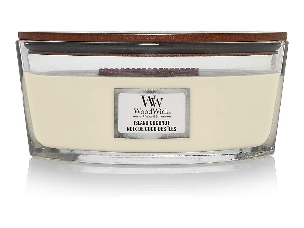 Bougie Ellipse noix de coco