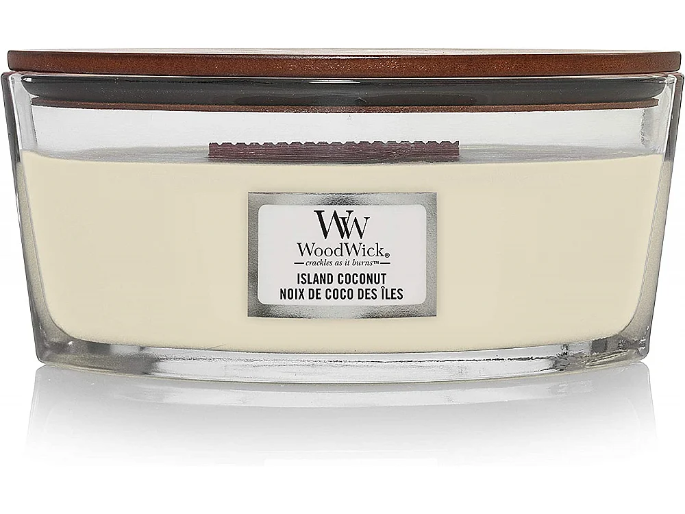 Bougie Ellipse noix de coco