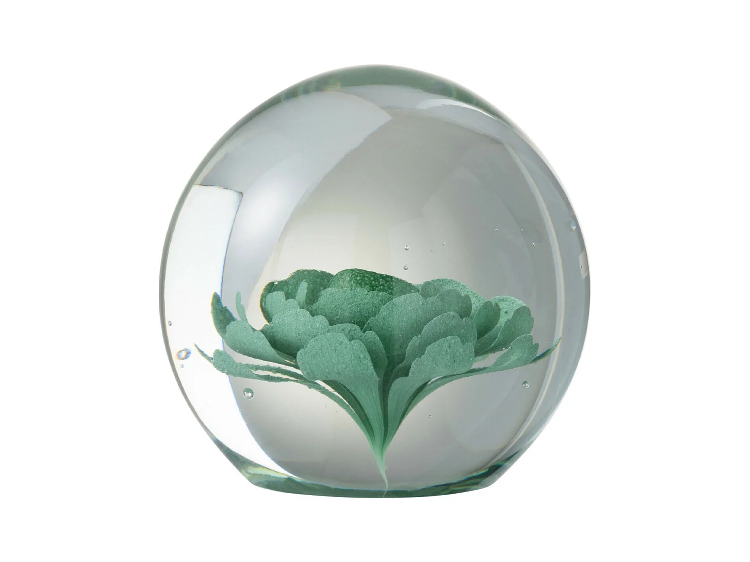 Presse-papier fleurs verre menthe large