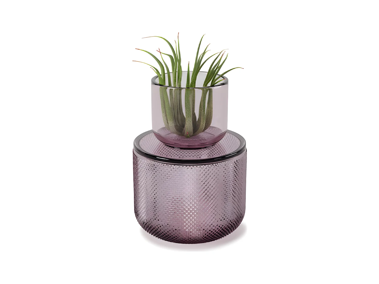 Pot en verre avec couvercle Allira violet