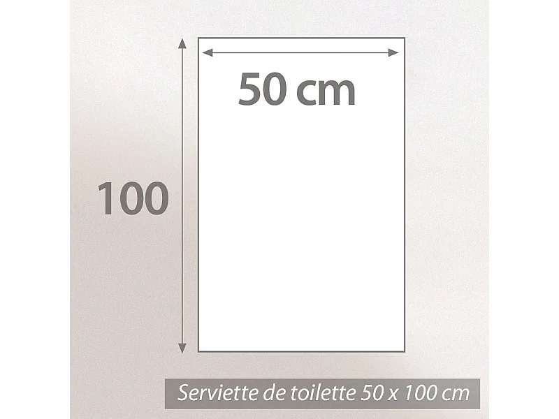 Serviette de toilette 50x100 cm coton 550 g/m2 PURE PRIMAVERA Vert Pistache