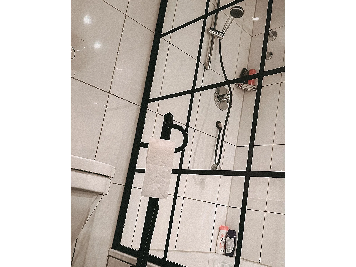 Toilettenpapierhalter mit Bürste SARTO Metall Schwarz