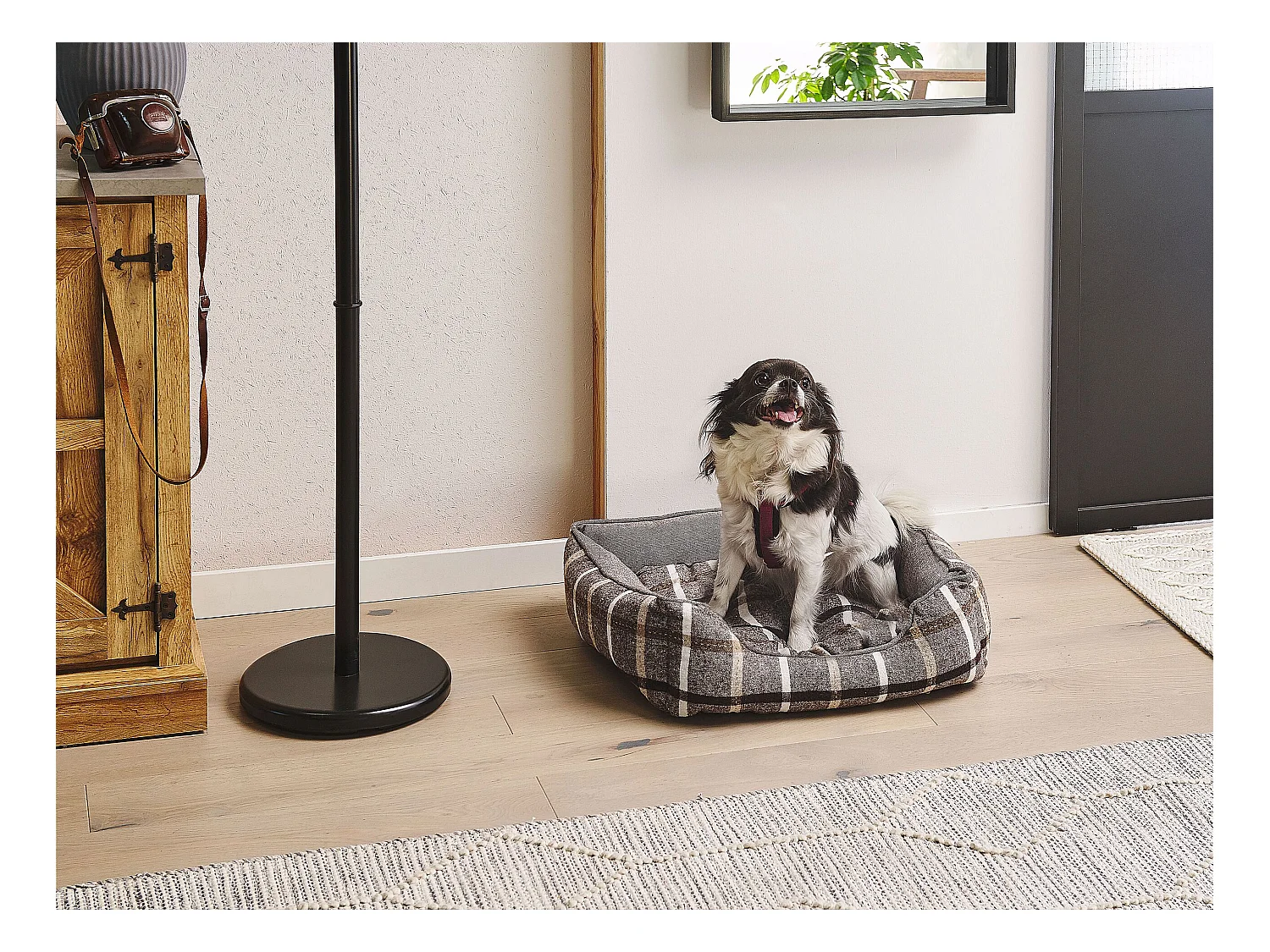 Lit pour animal HOZAT Coton Marron