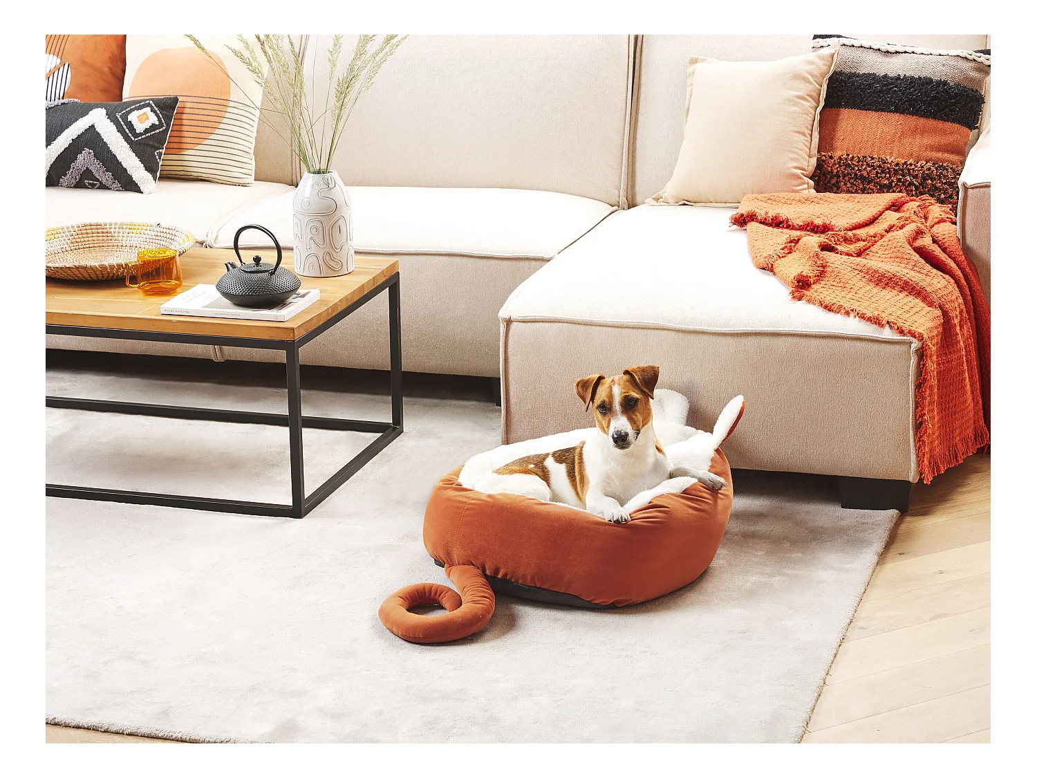 Dierenbedje HASSA Fluweel Oranje