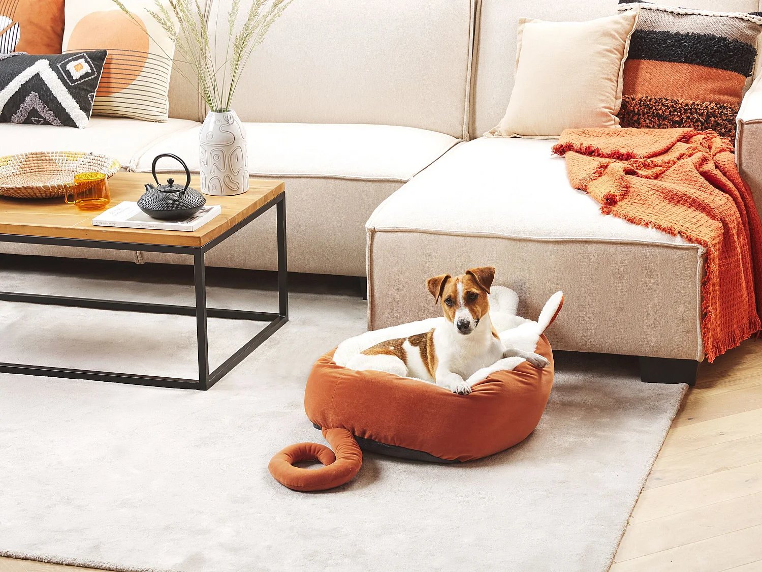 Tierbett HASSA Samtstoff Orange