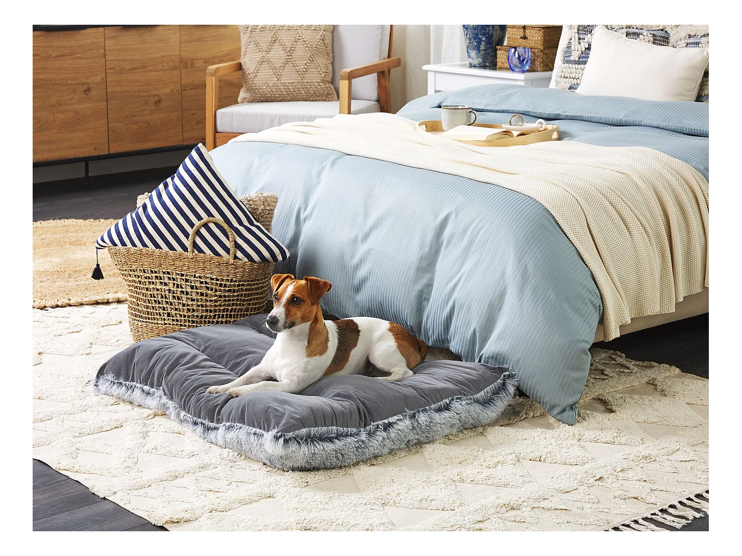 Lit pour animal ERGANI Velours Gris