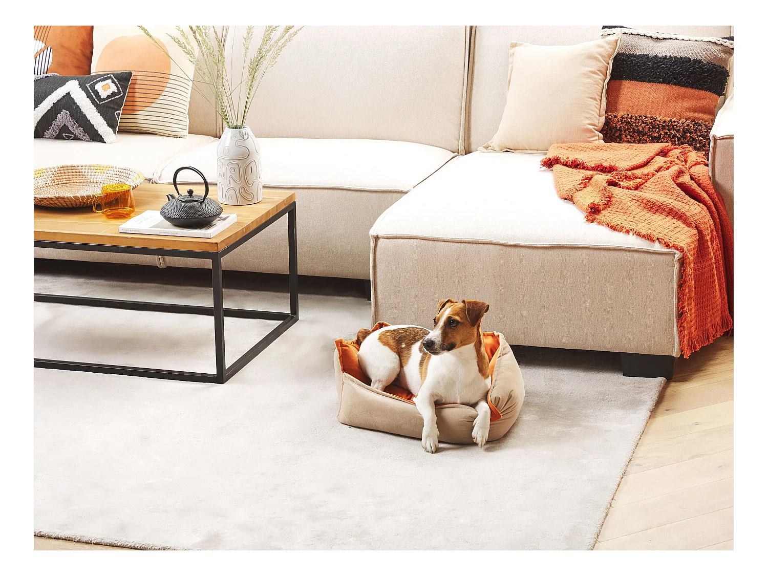 Dierenbedje IZMIR Fluweel Oranje Beige