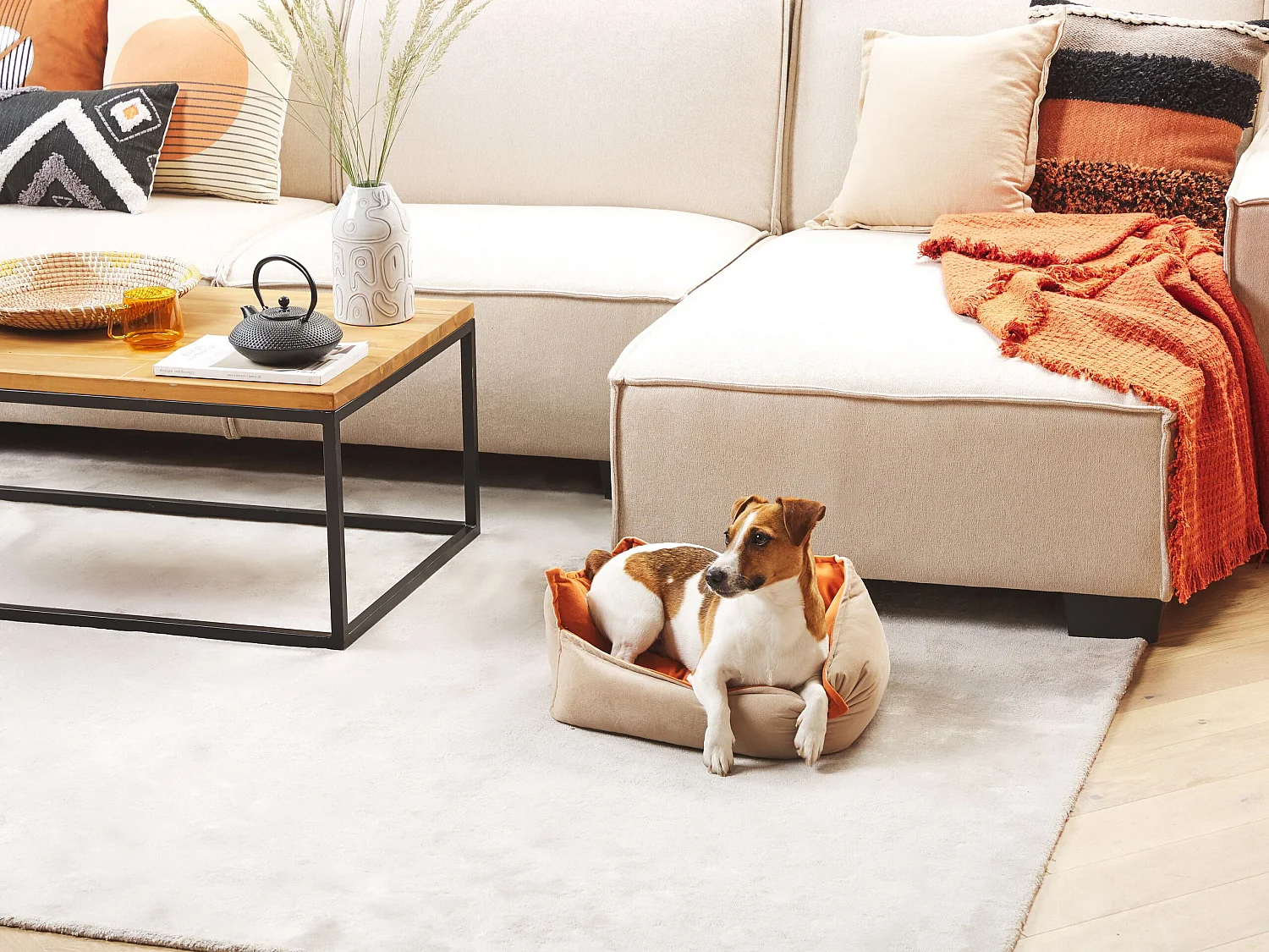 Dierenbedje IZMIR Fluweel Oranje Beige