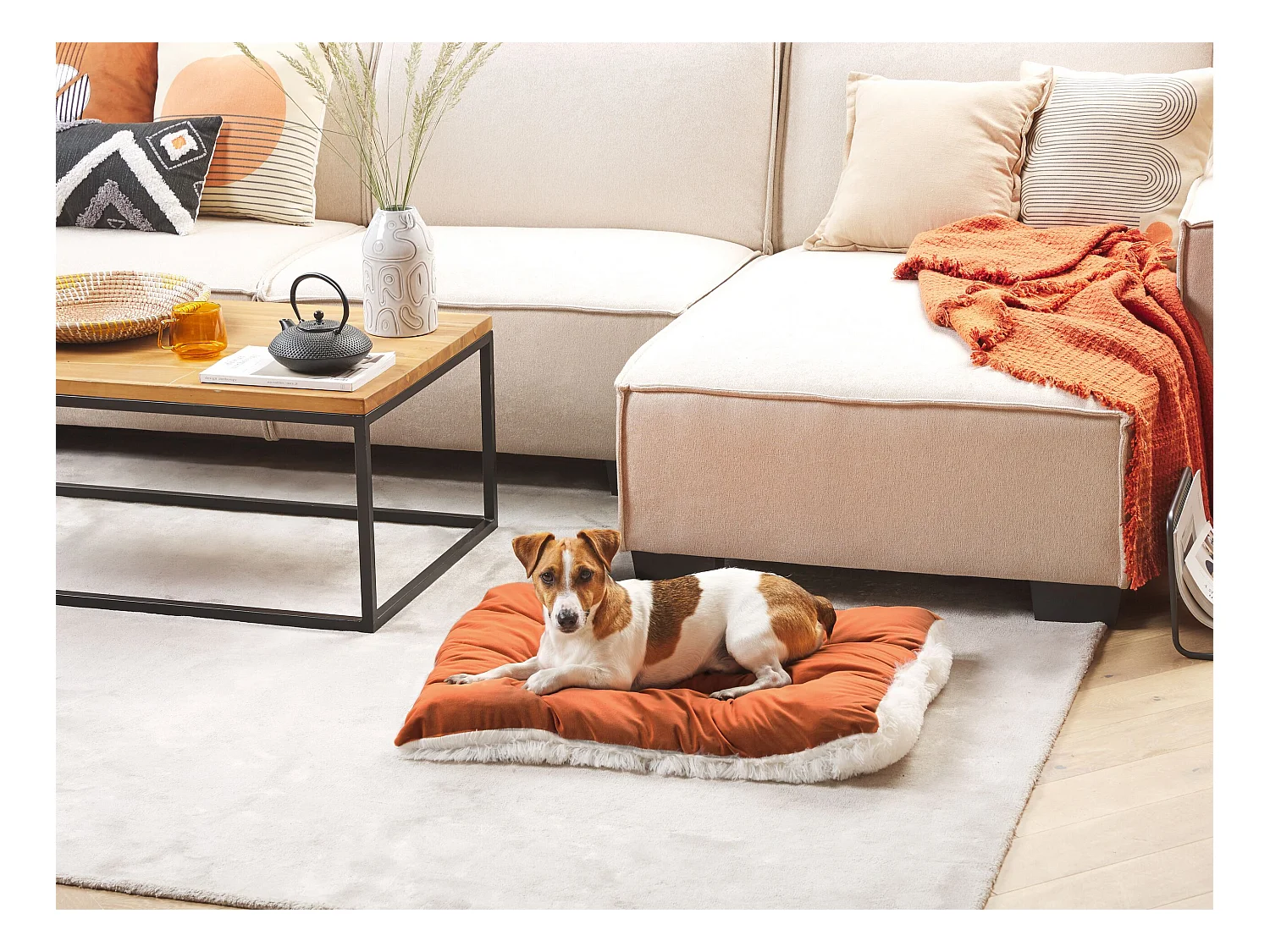 Cama para mascotas ERGANI Terciopelo Naranja
