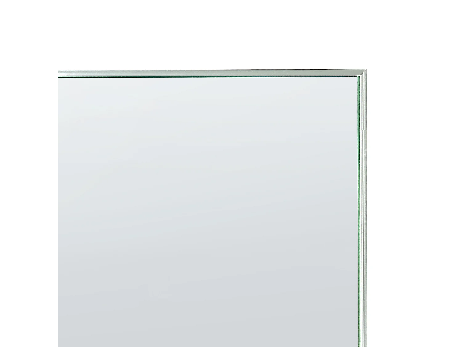 Espelho de pé BEAUVAIS 156 cm Metal Prateado