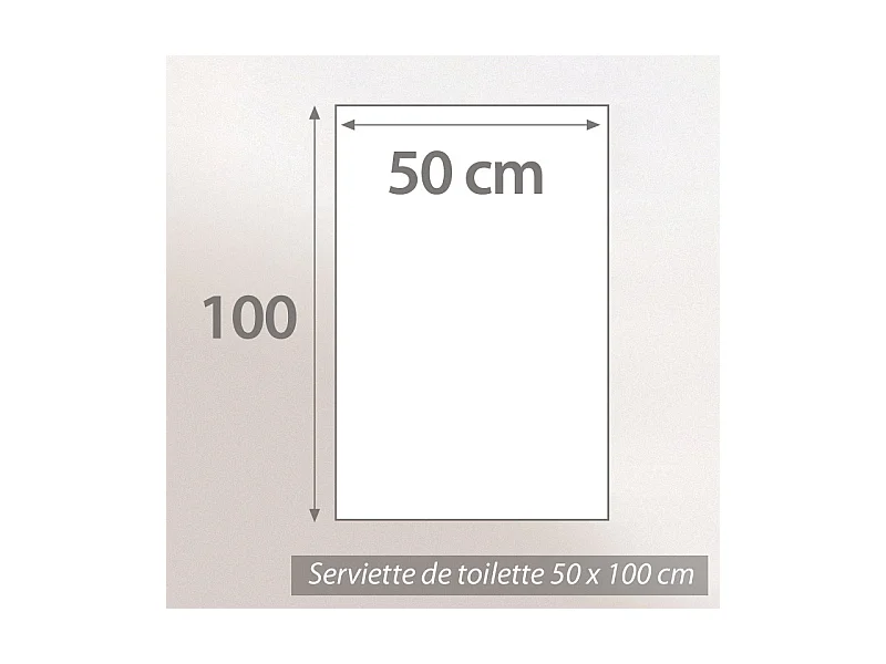 Serviette de toilette 50x100 cm coton RIBBON beige