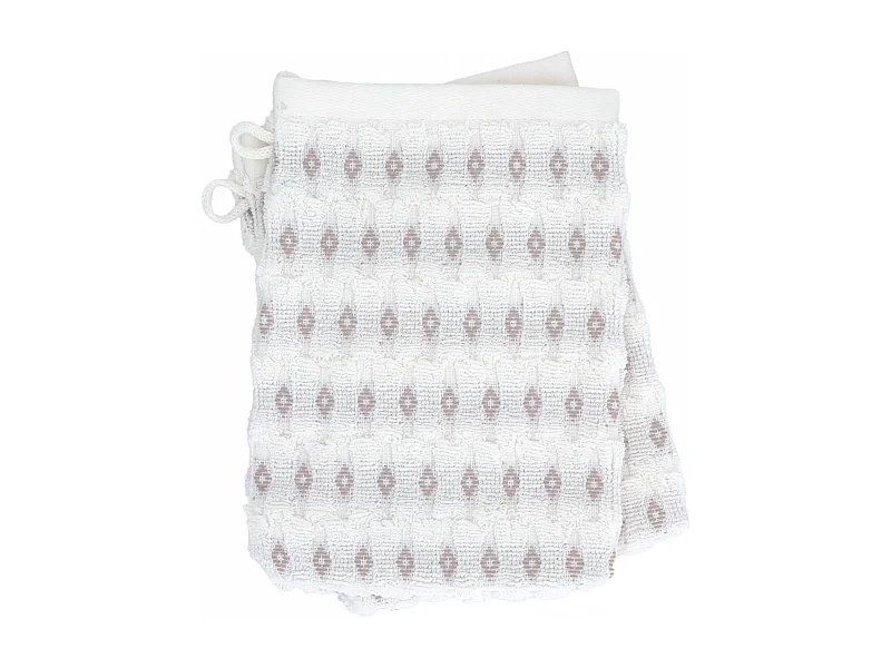 Lot de 2 gants de toilette 16x21 cm coton ESSENTIAL vert