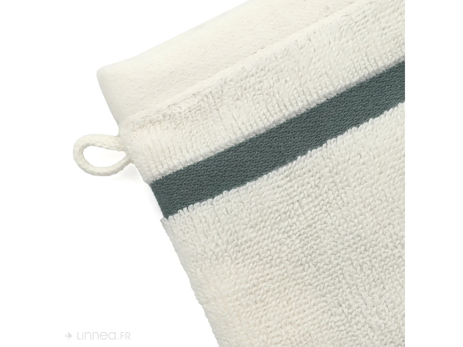 Lot de 2 gants de toilette 16x21 cm coton RIBBON vert