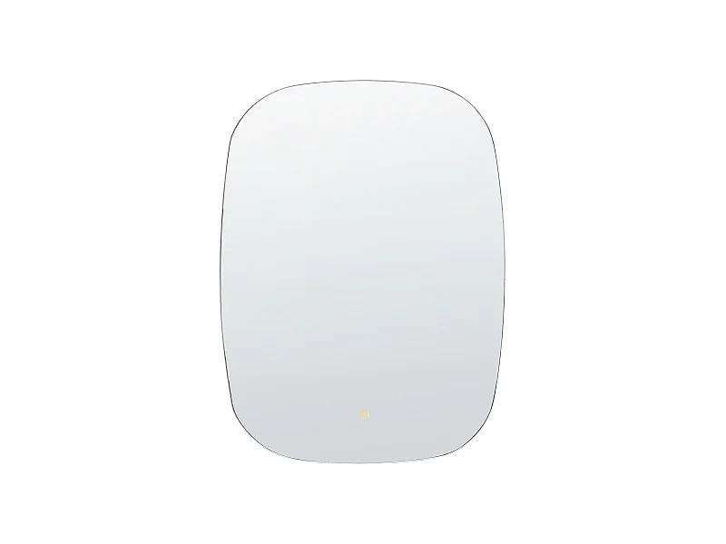 Modern Ovaler LED Wandspiegel Badezimmer Schlafzimmer ø 78 cm Silber Bergerac