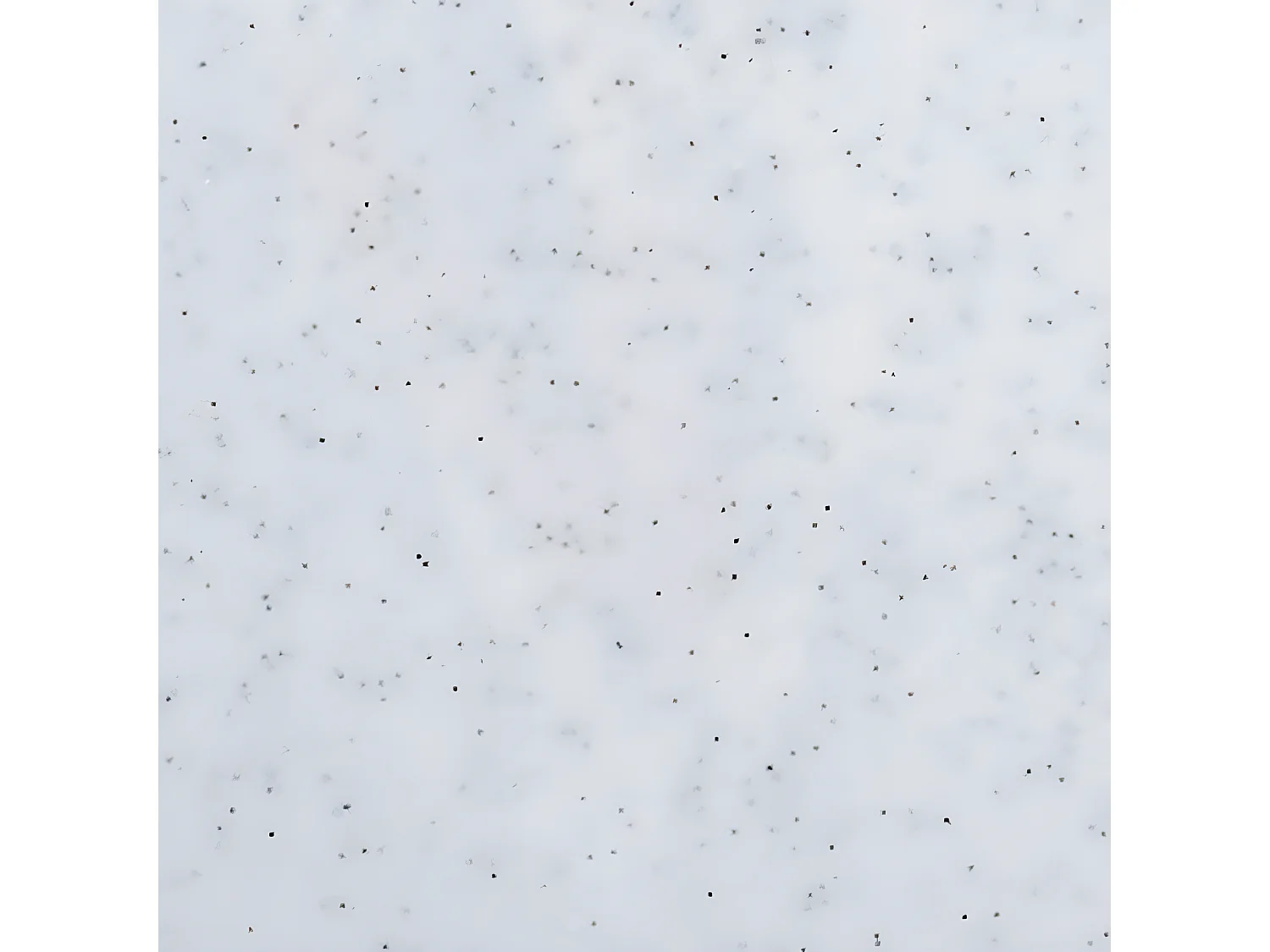 Tavolo Professionale da Cucina 29x20x1,5 Colore Granito Polietilene AZUL - Pescado