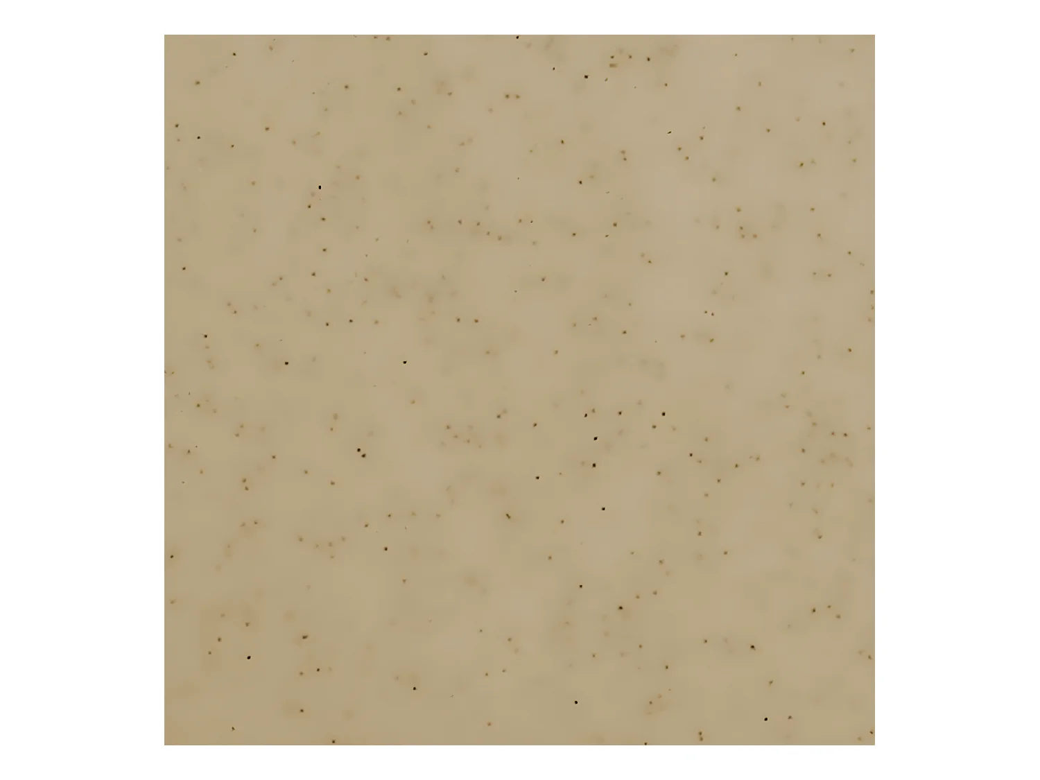 Professionele Keukentafel 29x20x1.5 Polyethyleen Kleur Zand - AZUL Pescado