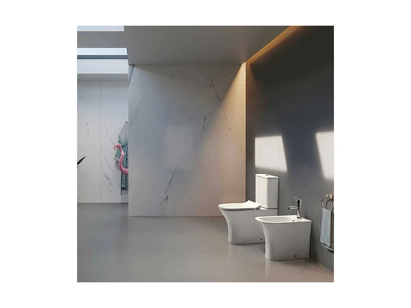 Inodoro cerámica NIKKO cisterna baja