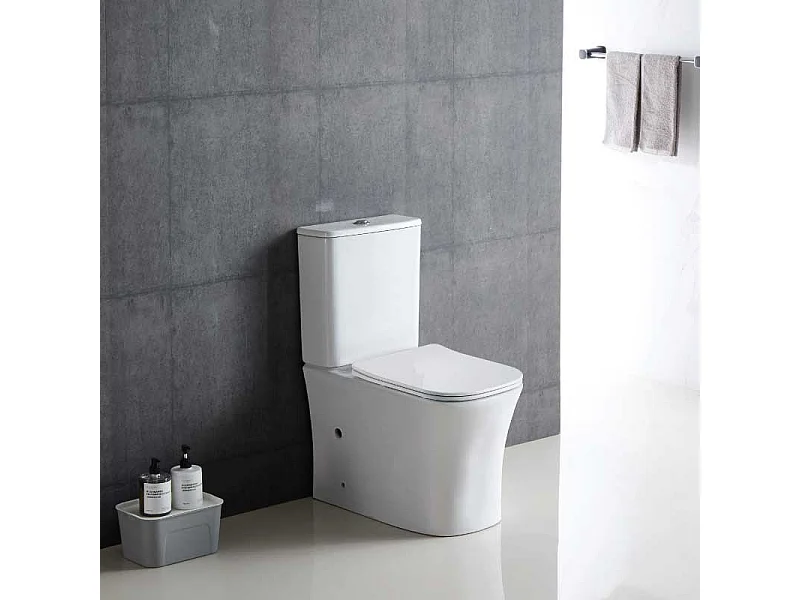 Inodoro cerámica NIKKO cisterna baja