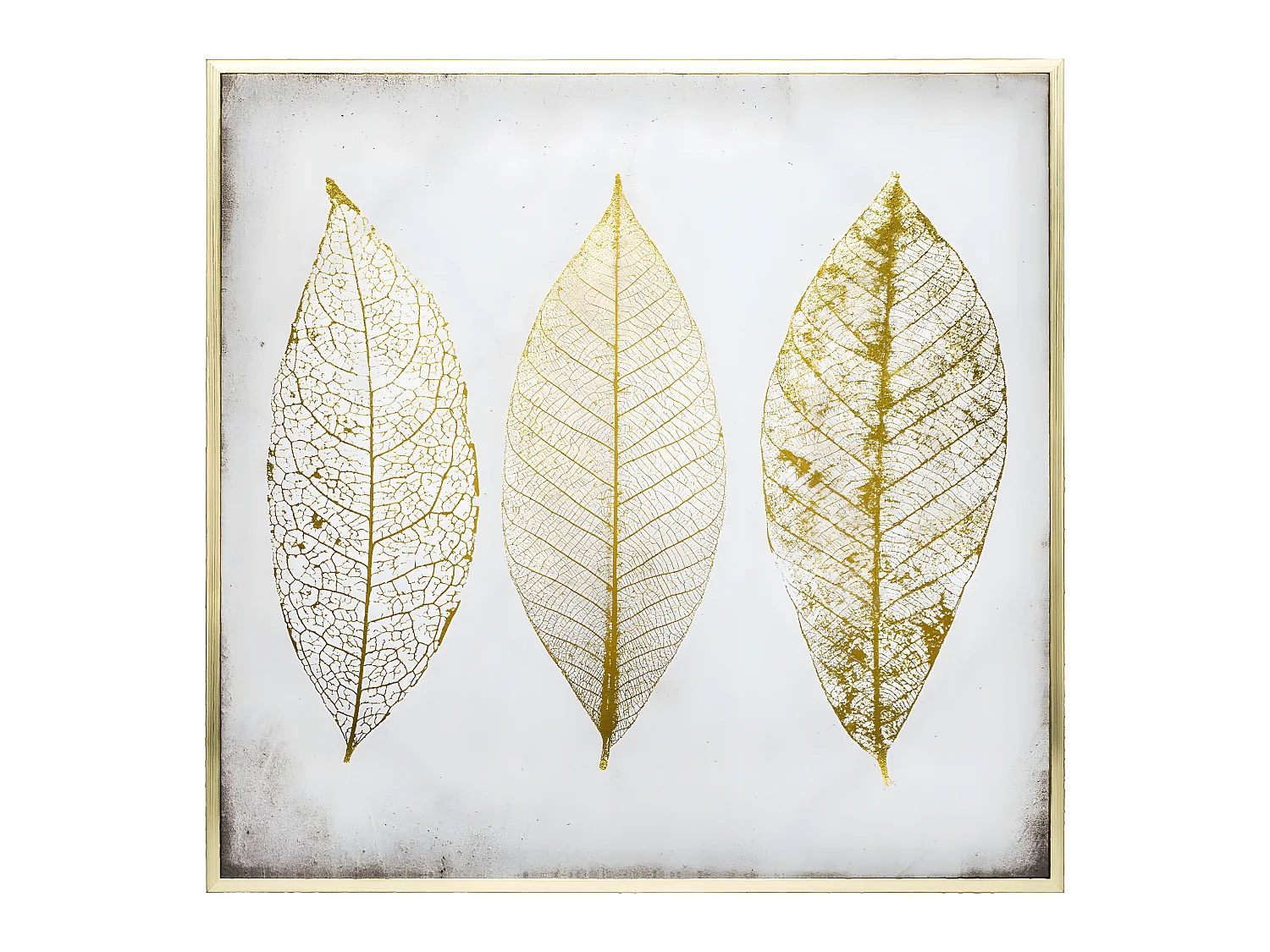 Tableau Toile murale encadrée imprimée Plumes 58 x 58 cm