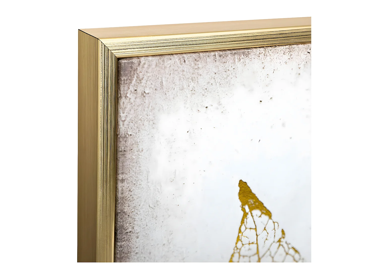 Tableau Toile murale encadrée imprimée Plumes 58 x 58 cm