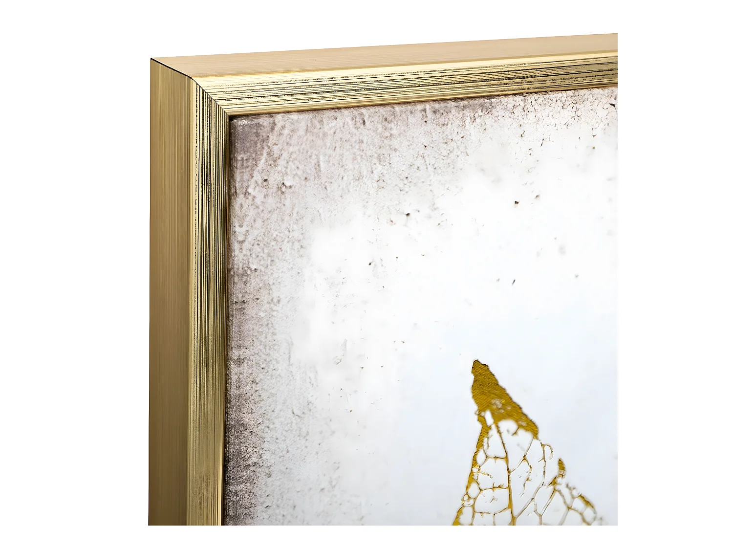 Tableau Toile murale encadrée imprimée Plumes 58 x 58 cm