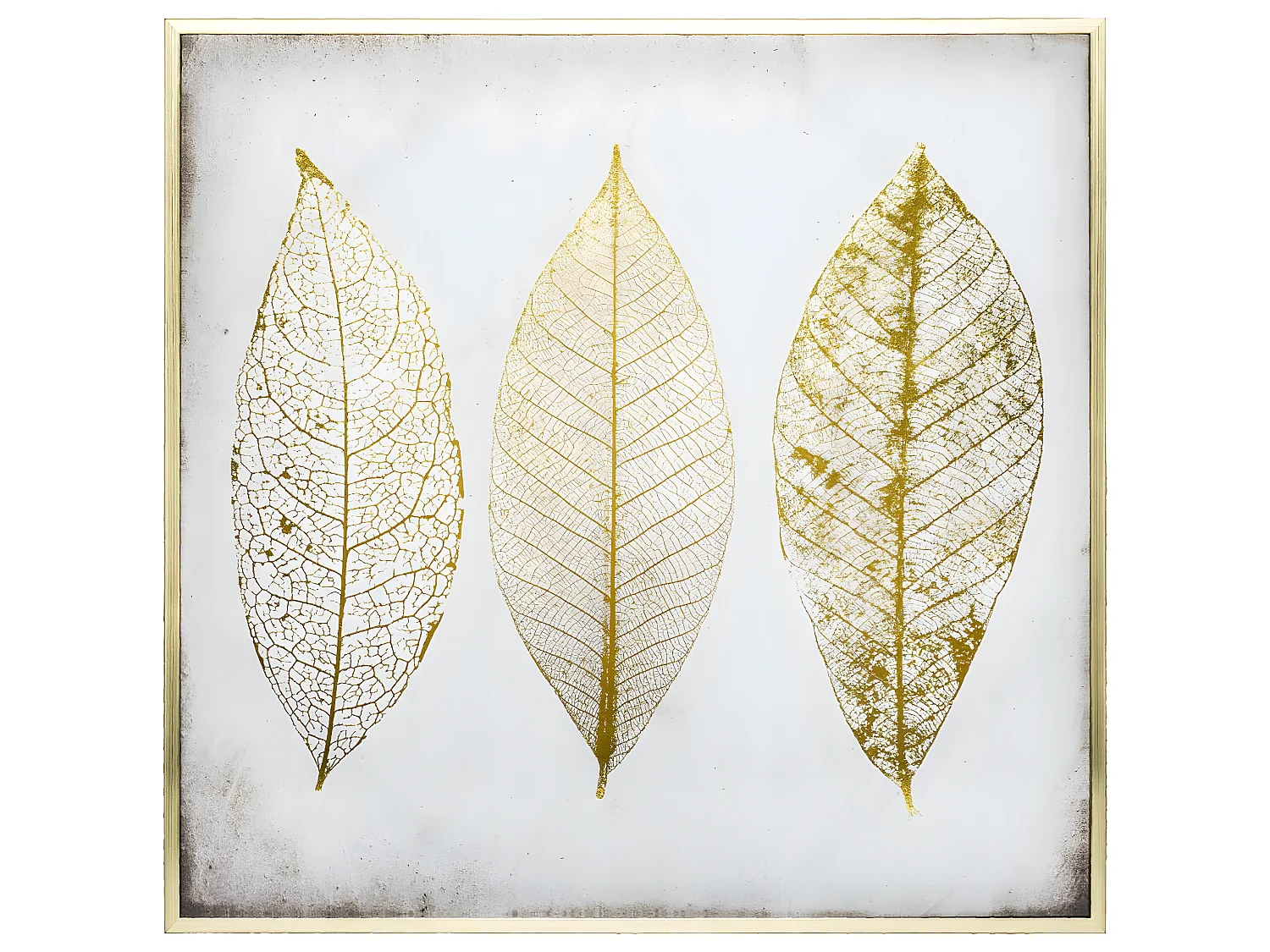 Tableau Toile murale encadrée imprimée Plumes 58 x 58 cm