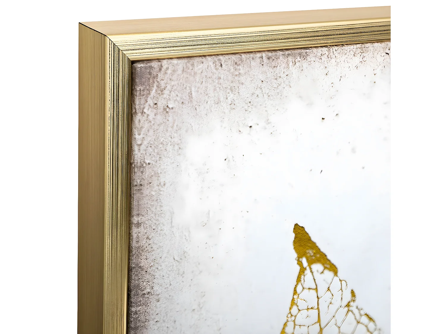 Tableau Toile murale encadrée imprimée Plumes 58 x 58 cm