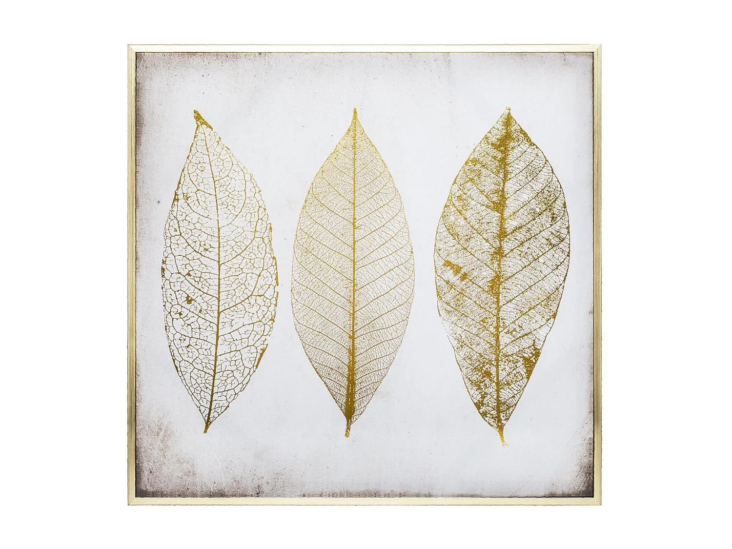 Tableau Toile murale encadrée imprimée Plumes 58 x 58 cm