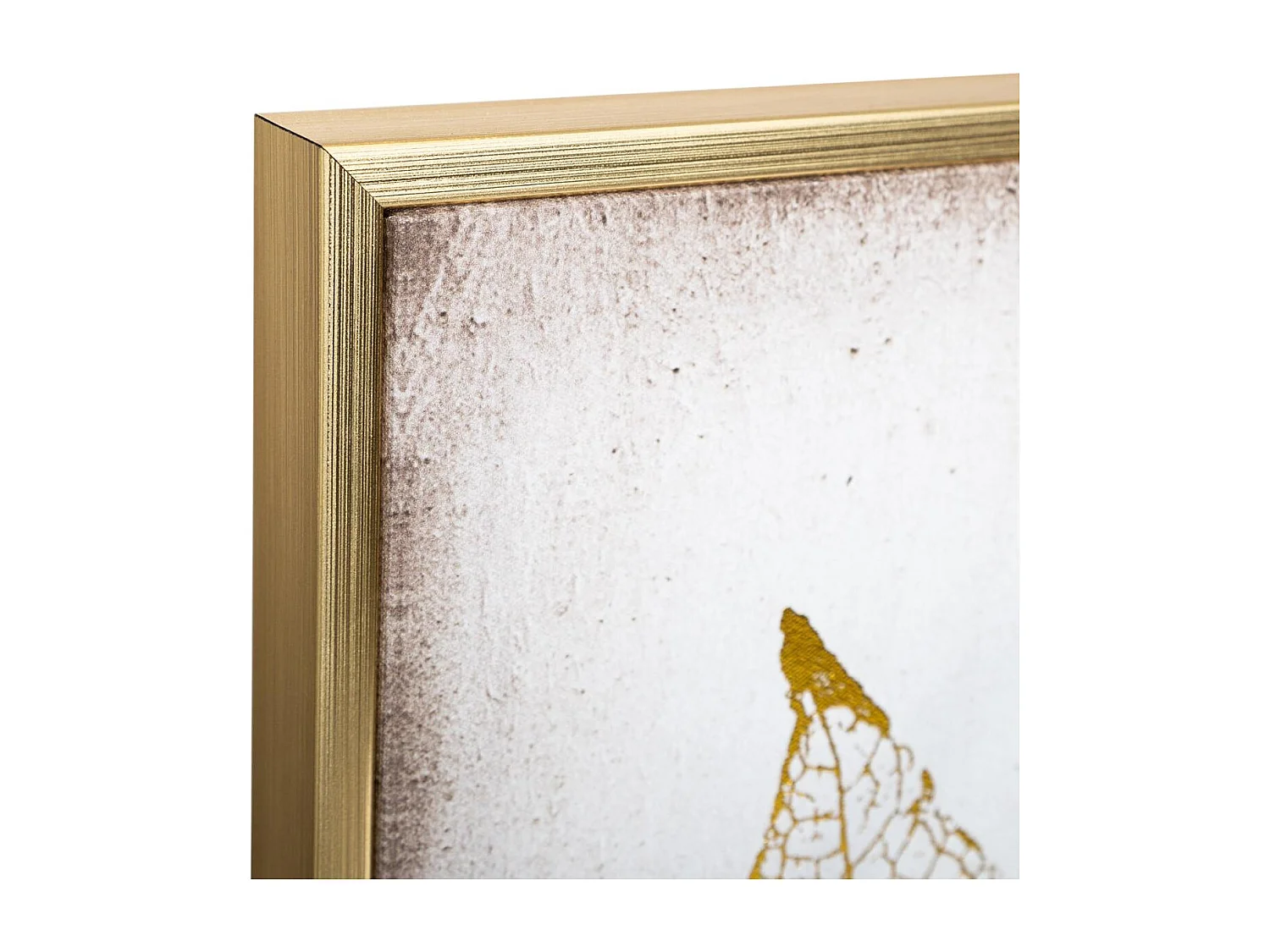 Tableau Toile murale encadrée imprimée Plumes 58 x 58 cm