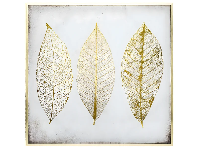 Tableau Toile murale encadrée imprimée Plumes 58 x 58 cm