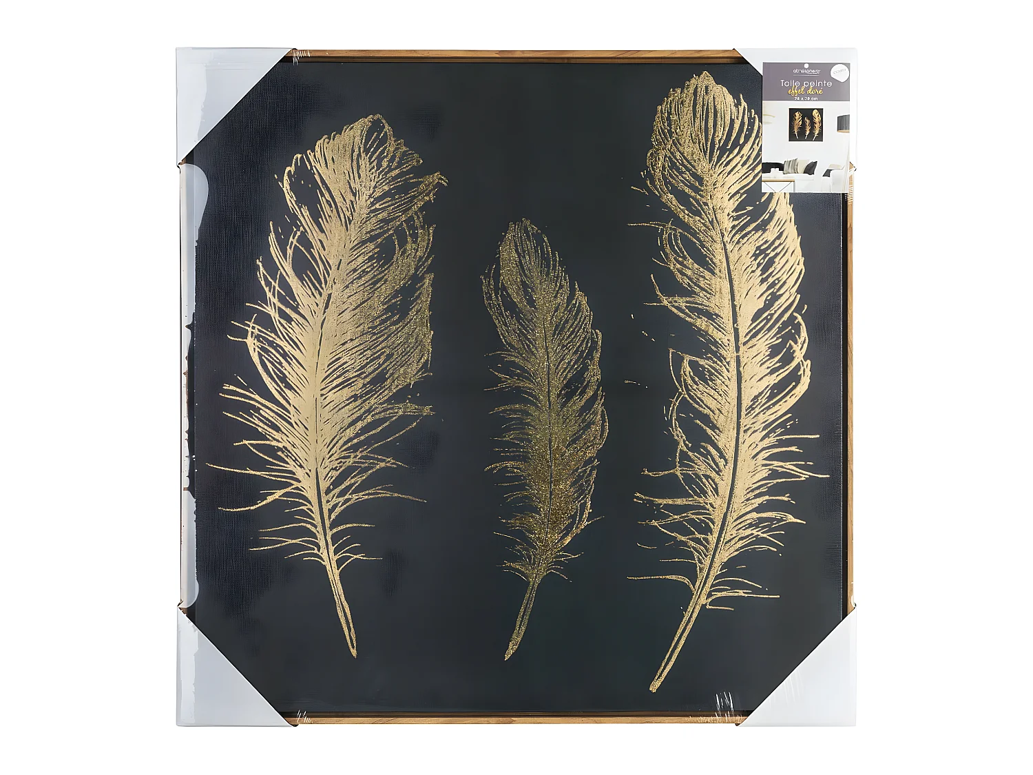 Toile peinte avec plumes dorées et cadre effet bois 78 x 78 cm