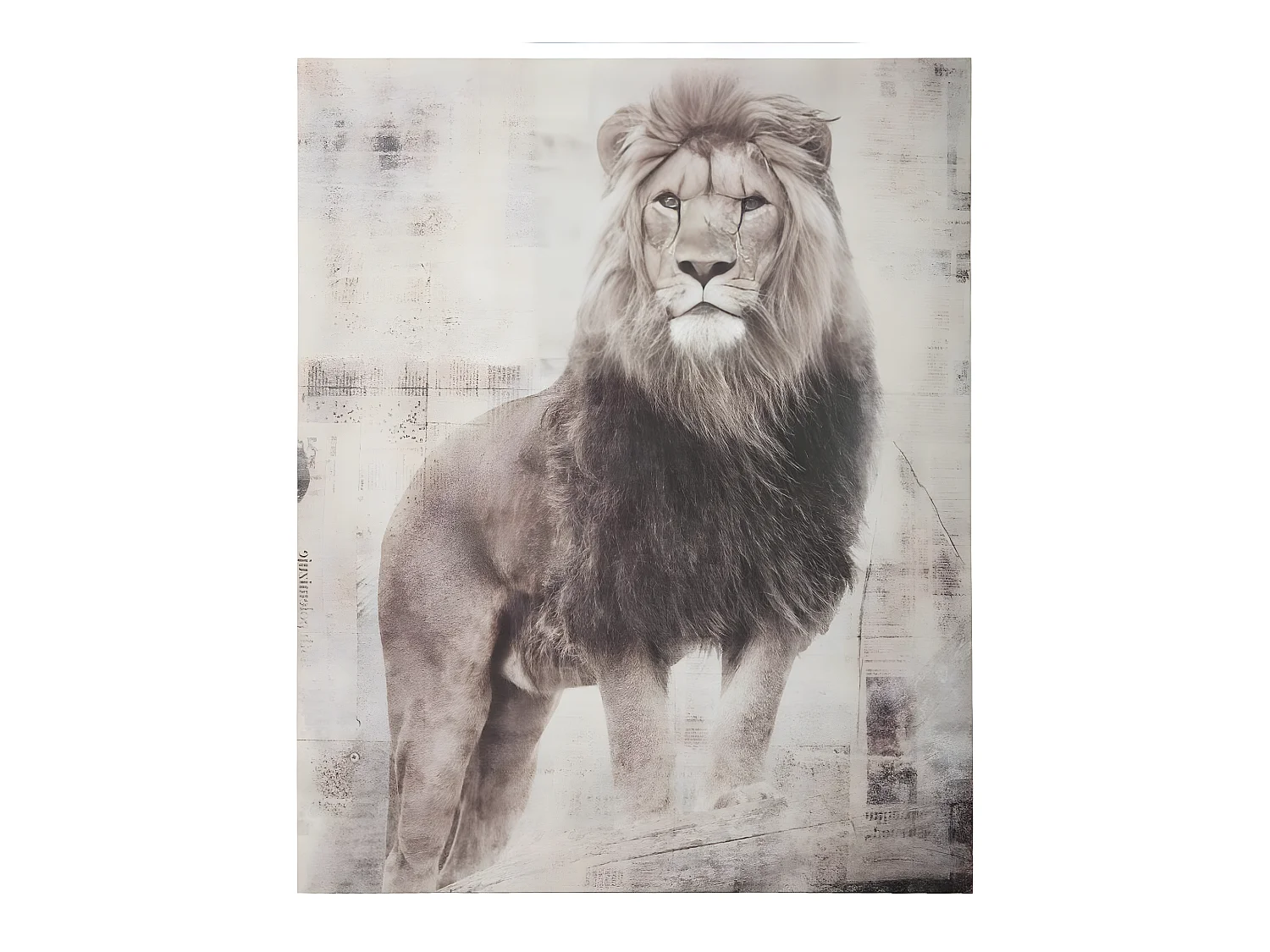 Tableau Toile murale imprimée Lion 38 x 48 cm