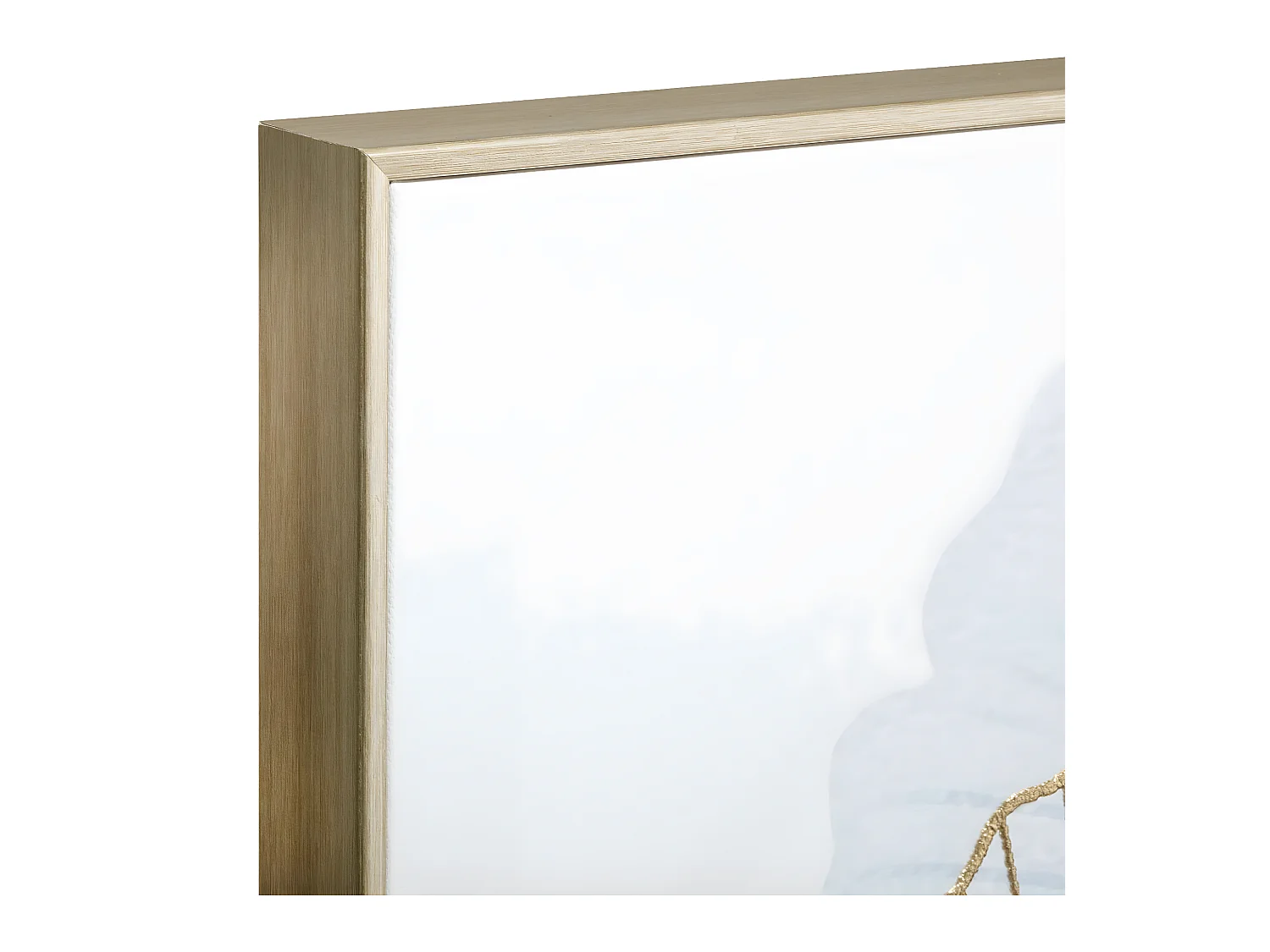 Tableau Toile murale encadrée imprimée Ginko avec relief 58 x 58 cm