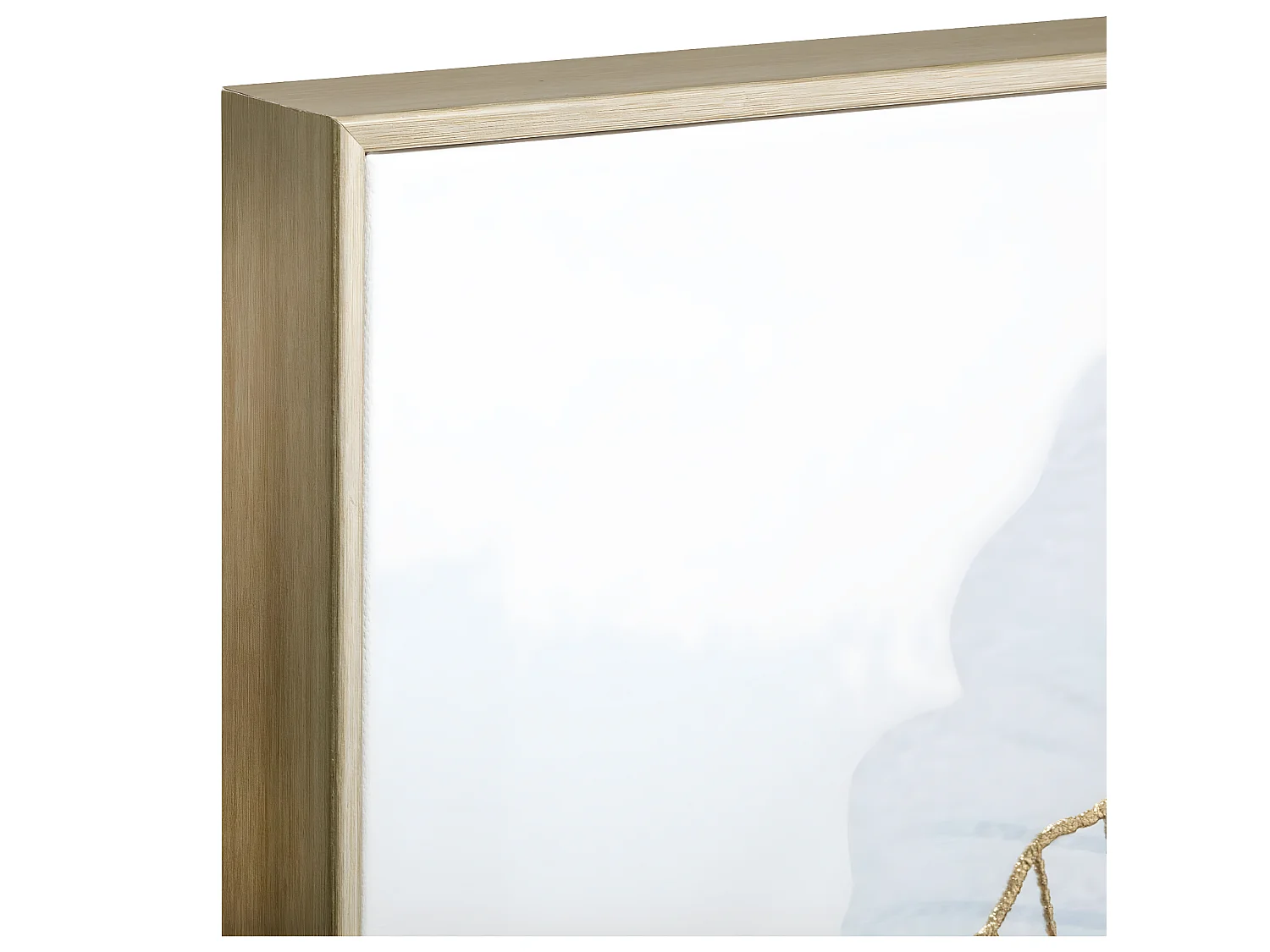 Tableau Toile murale encadrée imprimée Ginko avec relief 58 x 58 cm