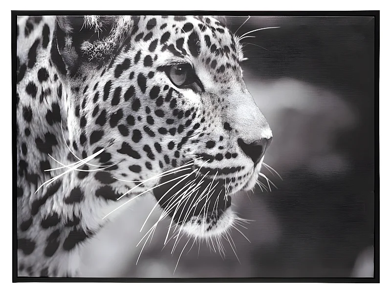 Tableau Toile murale encadrée imprimée Léopard 58 x 78 cm