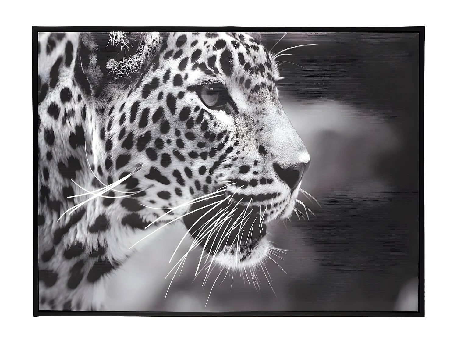 Tableau Toile murale encadrée imprimée Léopard 58 x 78 cm