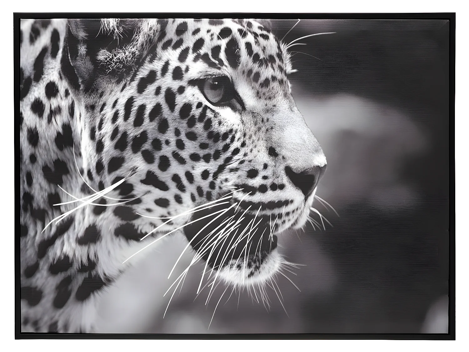 Tableau Toile murale encadrée imprimée Léopard 58 x 78 cm