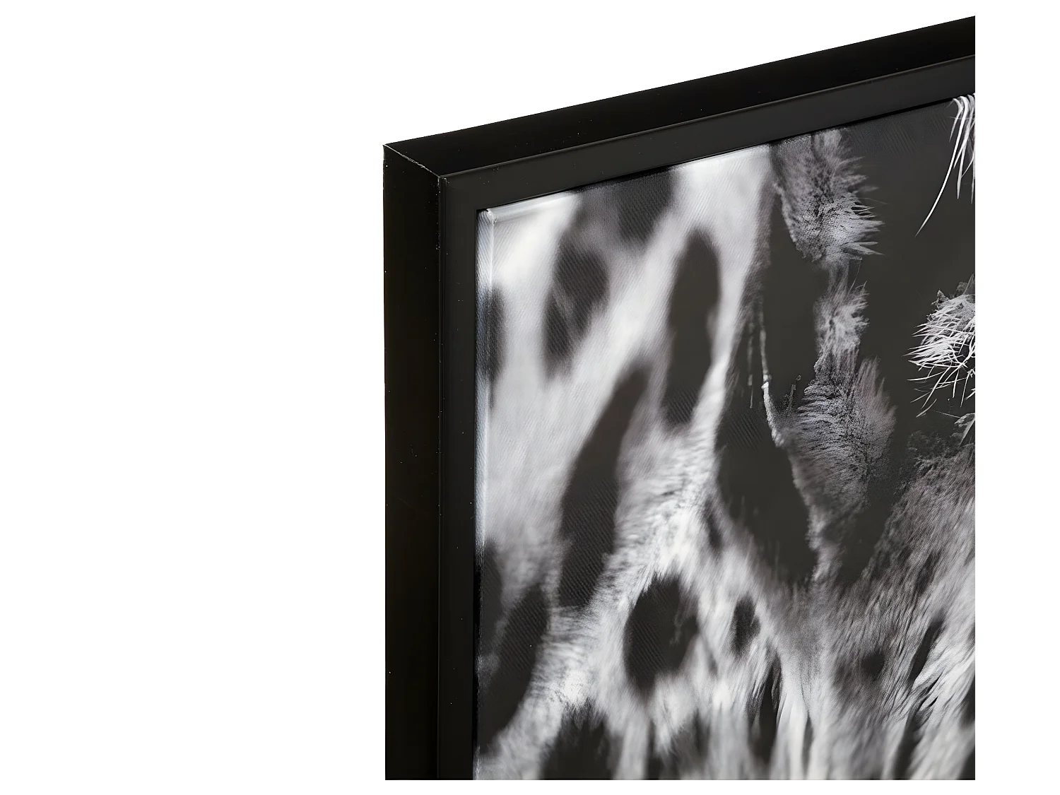 Tableau Toile murale encadrée imprimée Léopard 58 x 78 cm