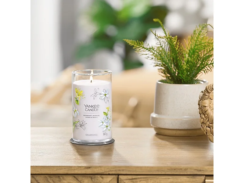 Bougie signature jasmin de minuit grand modèle