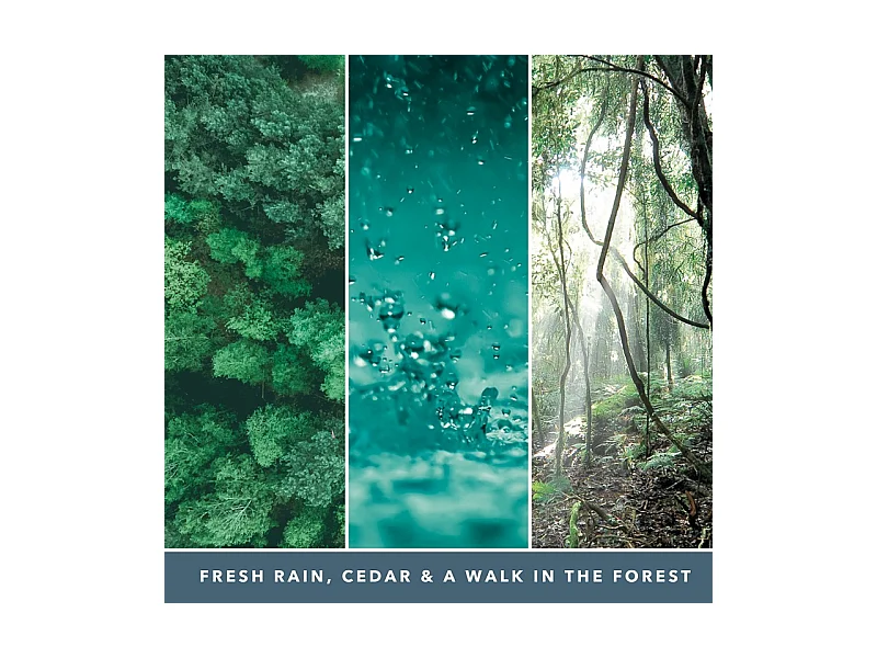 Bougie signature cèdre marin modèle moyen