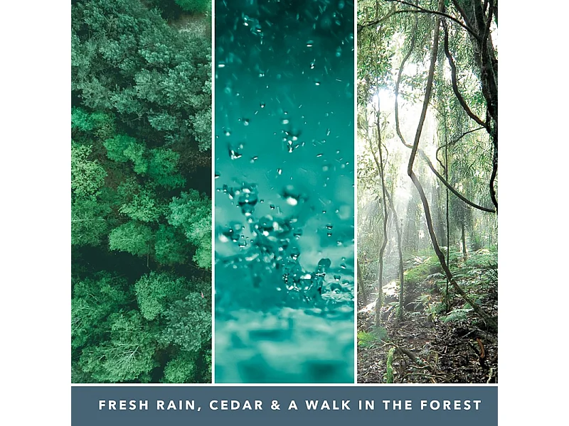 Bougie signature cèdre marin modèle moyen