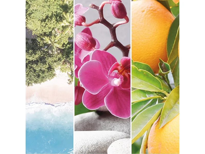 Bougie signature orchidée sauvage grand modèle