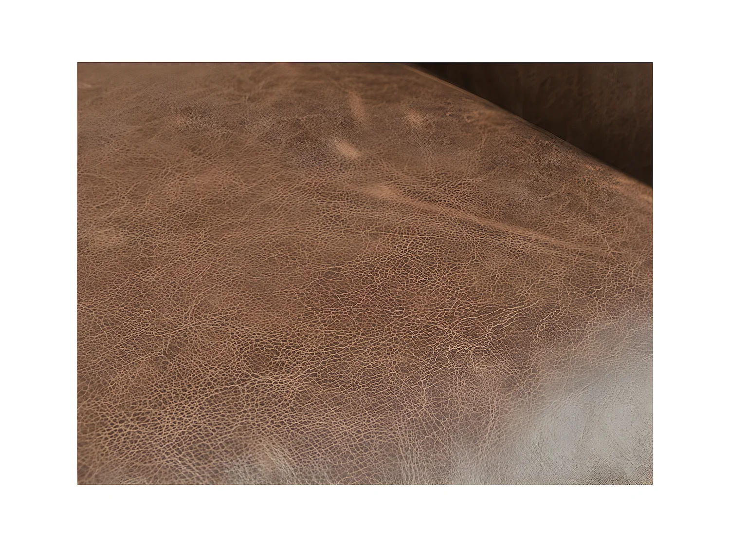 Fauteuil 100% leer EDOUARD - Bruin