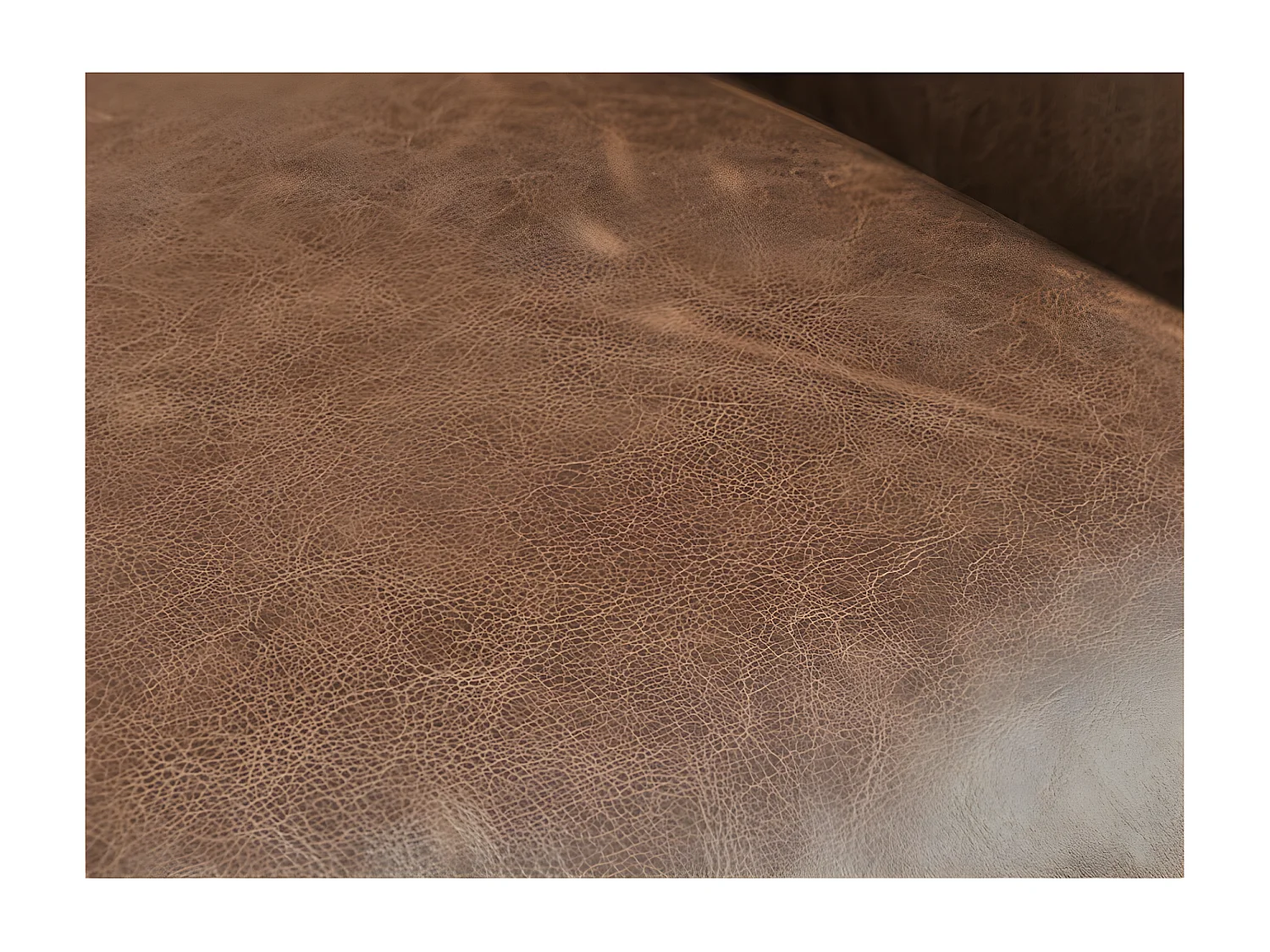 Poltrona 100% pelle Marrone - EDOUARD