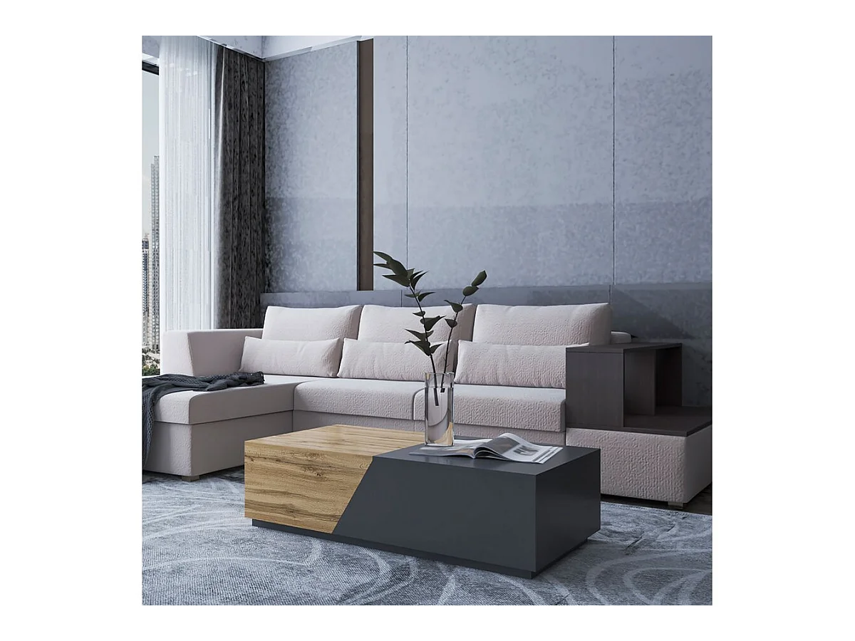 Table basse avec coffre "Ceelias" - 124 x 60 x 42 cm - Gris/Marron