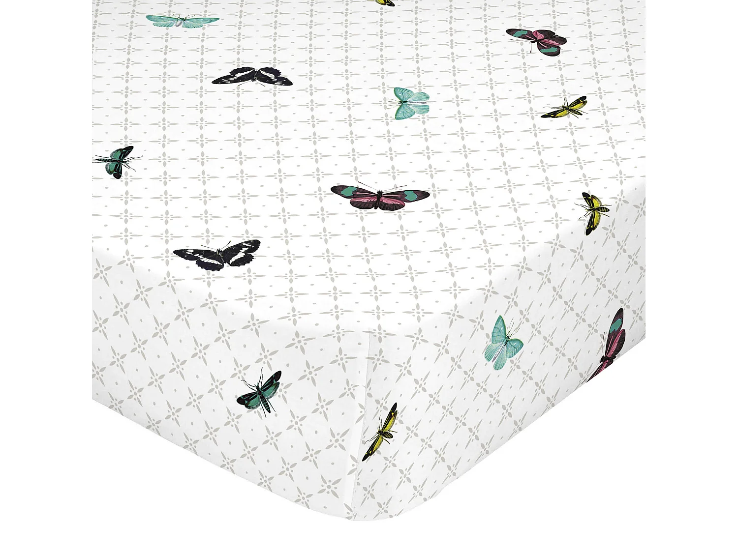 Drap-housse 160x200 cm Birds of paradise