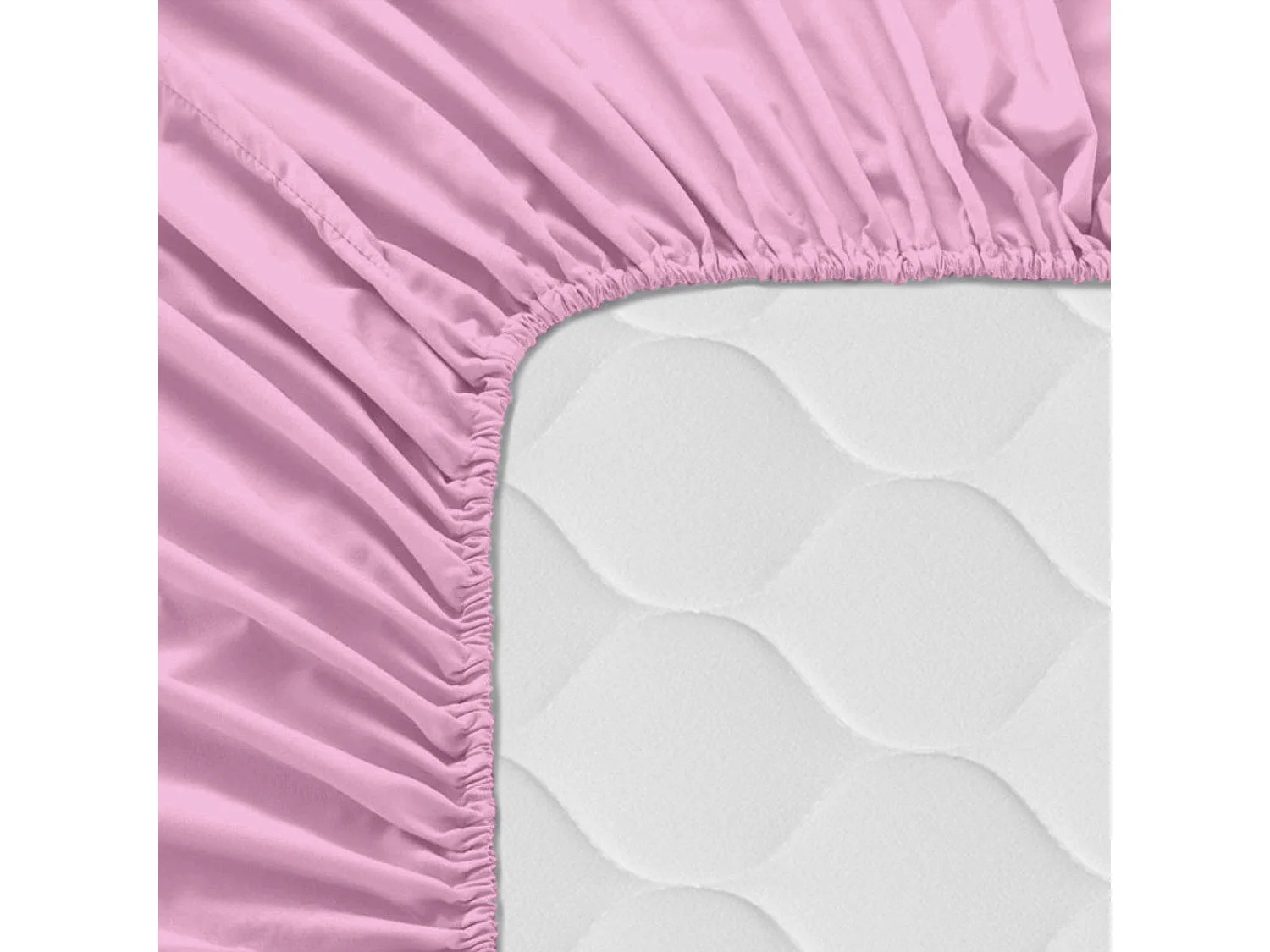 Bajera Maxicuna (70x140 cm) Basic