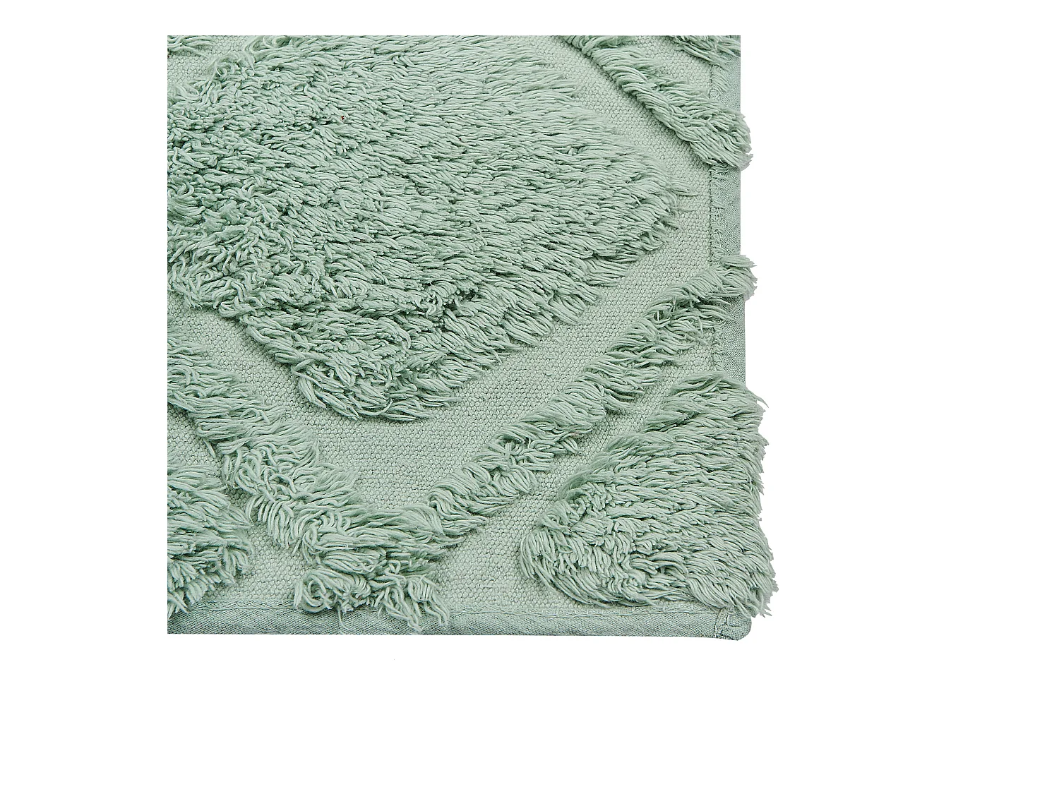 Tapis HATAY Vert clair 80 x 150 cm Coton